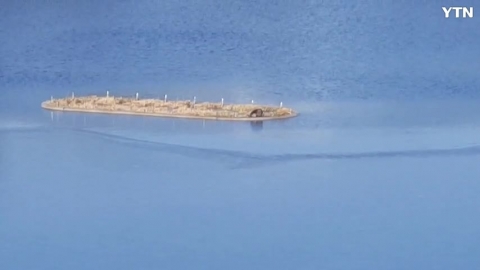 울산과학기술원에 나타난 수달