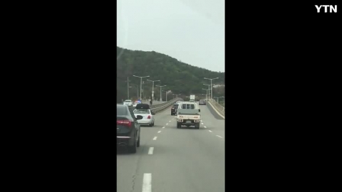 도로위에서 역주행 하는 말