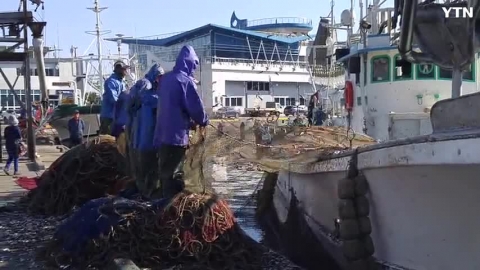 기장멸치를 수확하는 어부들