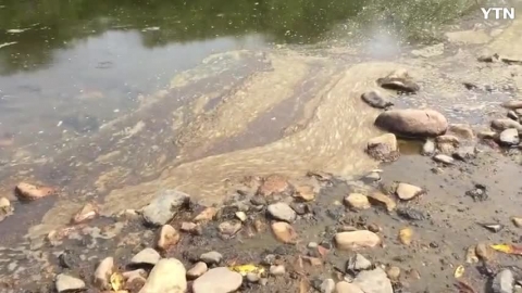 연천군 임진강 비룡대교 하류