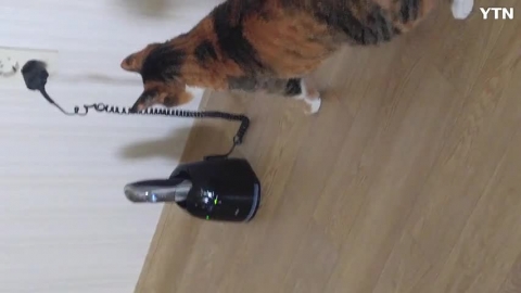 면도기한테 왜 그래?