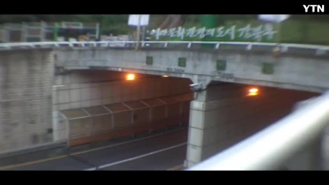 방치된 생태계 교란종 서양등골나물 군락지 발견!!