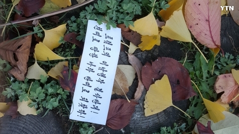 인천 소래포구 생태계갯벌공원 삐라