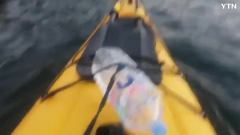 소양호 카약타다가 만난 노루?