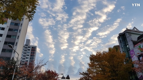구름이 특이하네요!