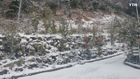 울릉도에 11월의 폭설