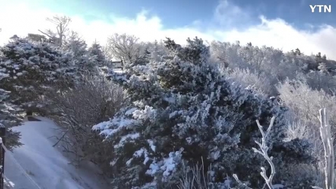 강원도 발왕산의 설경