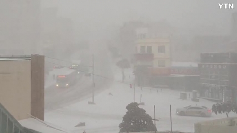 와우 앞이 안보이네요제주시 남문사거리
