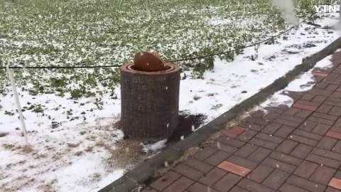 제주도 바람이 너무 심해서 휴지통이 혼자 돌아가요