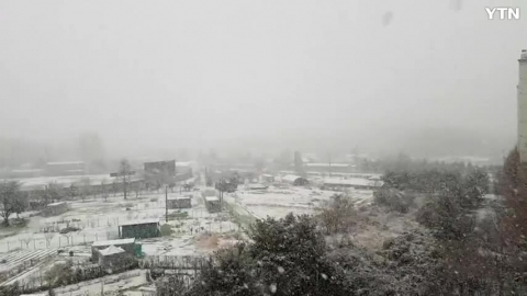 엄청난 눈폭탄이 내리고 있어요