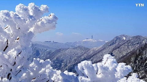 소백산은 여전히 겨울왕국(실시간;3월10일pm1시30분)