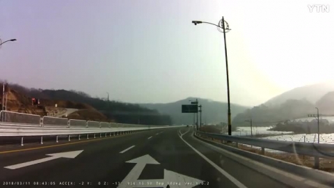 도로위에서 갑질하는 꿩 