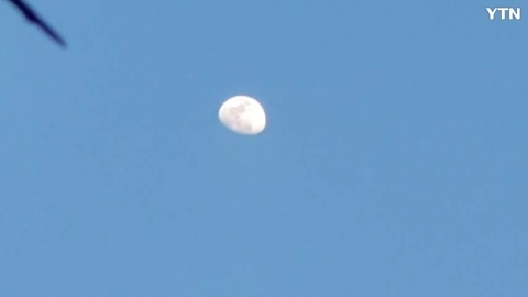 목련꽃, 매실꽃, 달님의  아름다운 봄의 조화