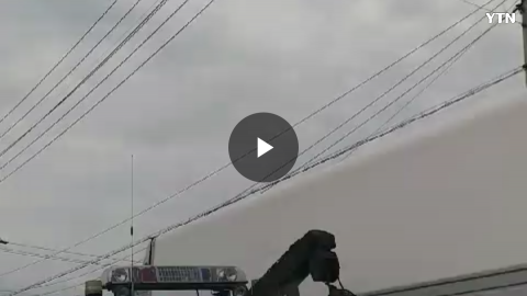 개를 위험하게 목줄만묶은채 차에 싣고 다니는 장면