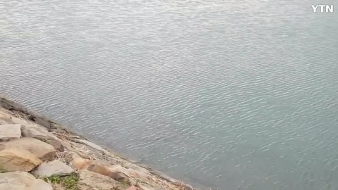 광양제철소 부근 수달 부부? 발견