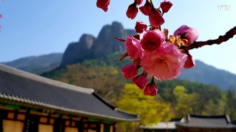 주왕산(경북 청송)국립공원~오늘입니다.