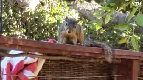 이불좀 가져다 쓸께요