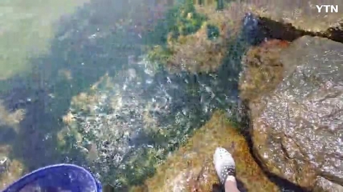 양양 낙산 해수욕장