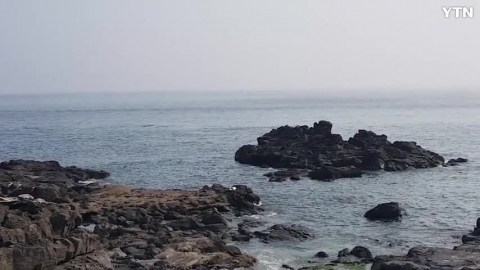 제주 연안 돌고래... 