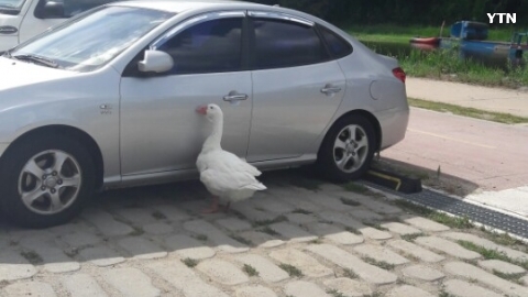 태양을 피하는 방법