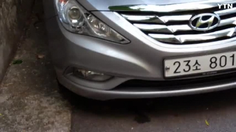 아파트 주차장 뱀 출현