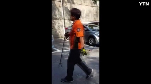 아파트 주차장 뱀 출현