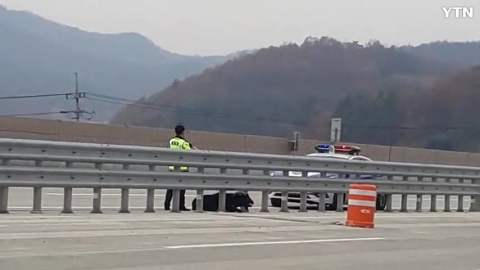 염소 고속도로 난입