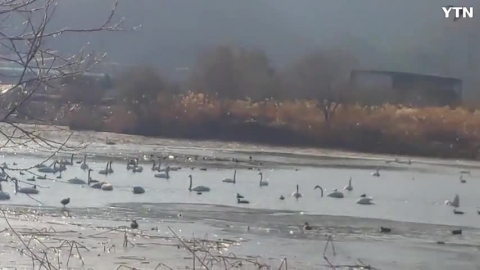 한강 운길산역 물의정원