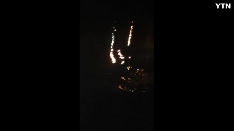 서래섬 수달 출현