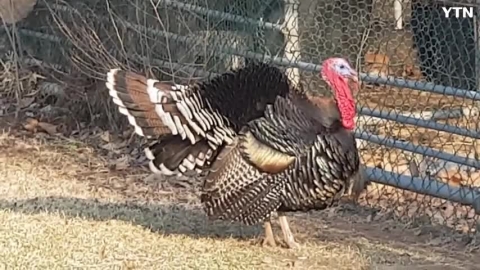 이것은 무엇일까요?