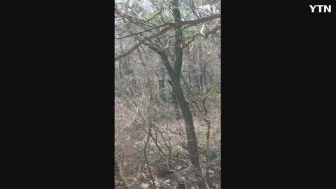 북한산 계곡에서 발견한 크낙새 관련 제보