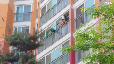 서울 소재 아파트 공작새 출현