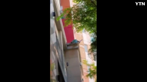 공작새 구출작전 성공