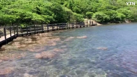 제주도 사라오름