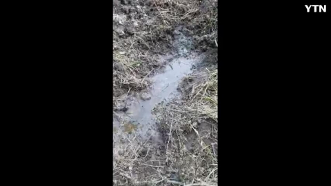 상수도 보호구역에 음식물  쓰레기 차대기로  투기