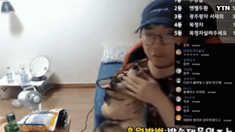 유튜버가 실시간방송중 강아지를 학대합니다.