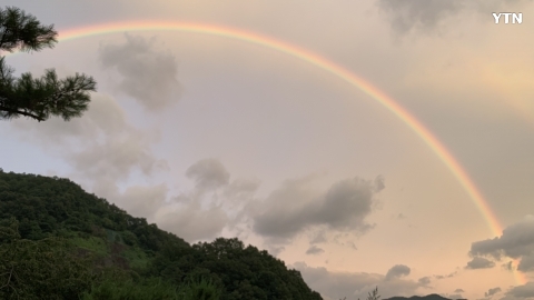 충남 금산에 찍은 무지개입니다.