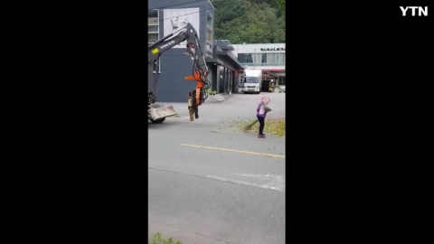 은행나무의 가을