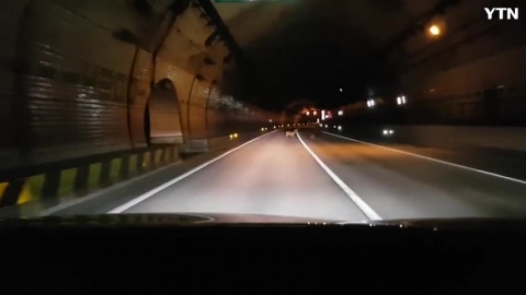 교량 터널 안 고라니 두마리