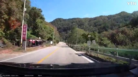 멧돼지 대가족 산에서 내려와 물먹으러 국도 횡단  동영상