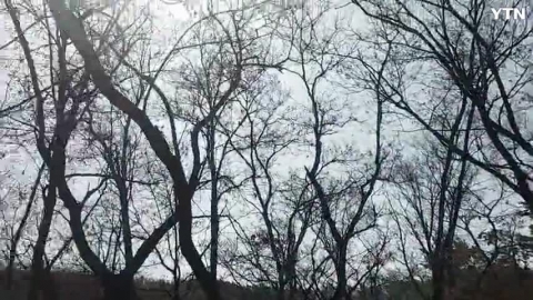 약수터 가는 길에서 만난 담비