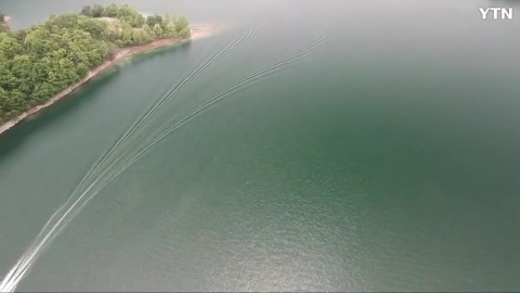 엄청난 속도의 비행물체(생명체)?