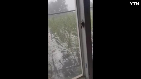 블루베리 농장에  쏟아진  재난적 우박에 관한 제보입니다