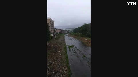 담비추정동물발견