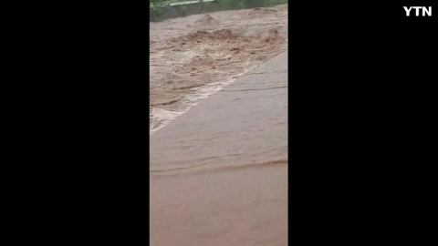 강원도 영월 비