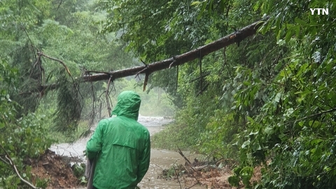 충북 제천 봉양읍 원박리 비피해 산지