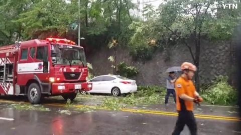 노원구 월계동 폭우피해영상