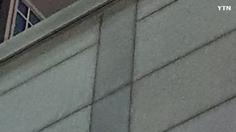 울산 성안동 경찰청 수리부엉이 출현