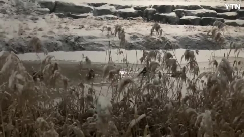 퇴근길에 만난 수달!