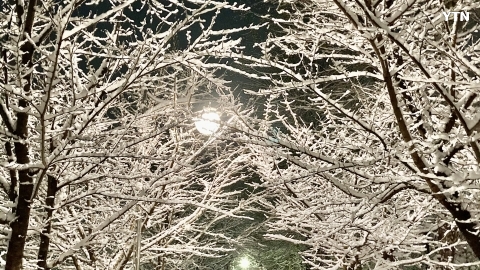 양재천 눈꽃 제보 ^^